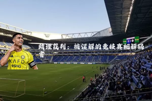 助理裁判：被误解的竞技真相解码者